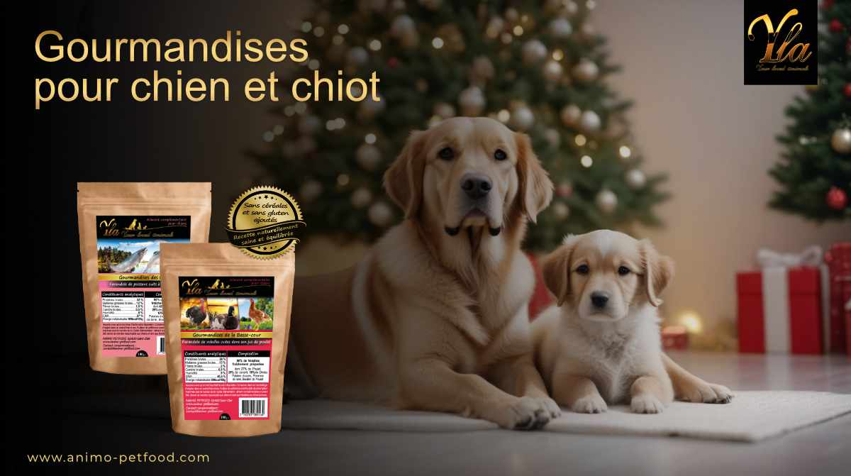 friandises-gourmandises-de-noel-sans-cereale-pour-chiot-et-chien