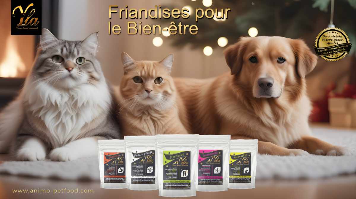 friandises-naturelles-pour-le-bien-etre-chien-et-chat