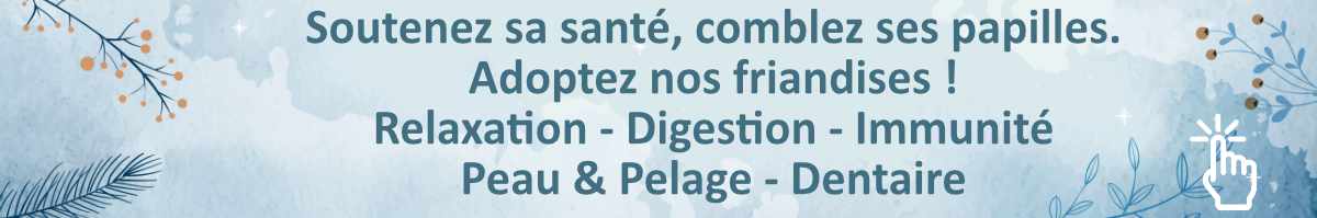 friandises-relaxation-digestion-immunite-peau-pelage-dentaire-pour-chat