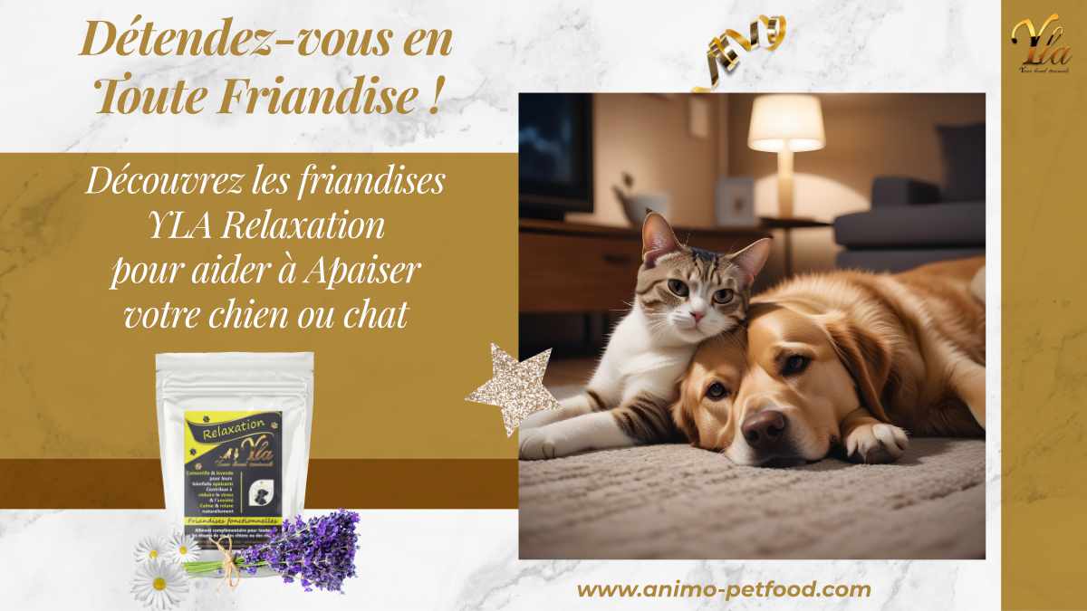 friandises-relaxation-pour-aider-a-apaiser-chien-ou-chat