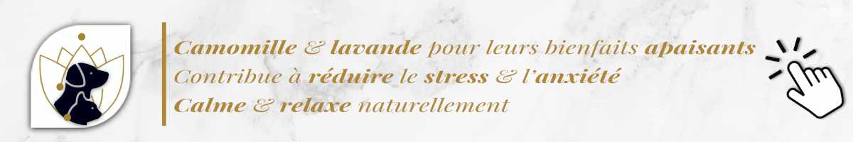 friandises-relaxation-pour-aider-a-apaiser-chiens-ou-chats