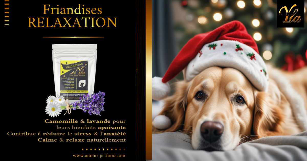 friandises-relaxation-pour-chien-avec-camomille-lavande