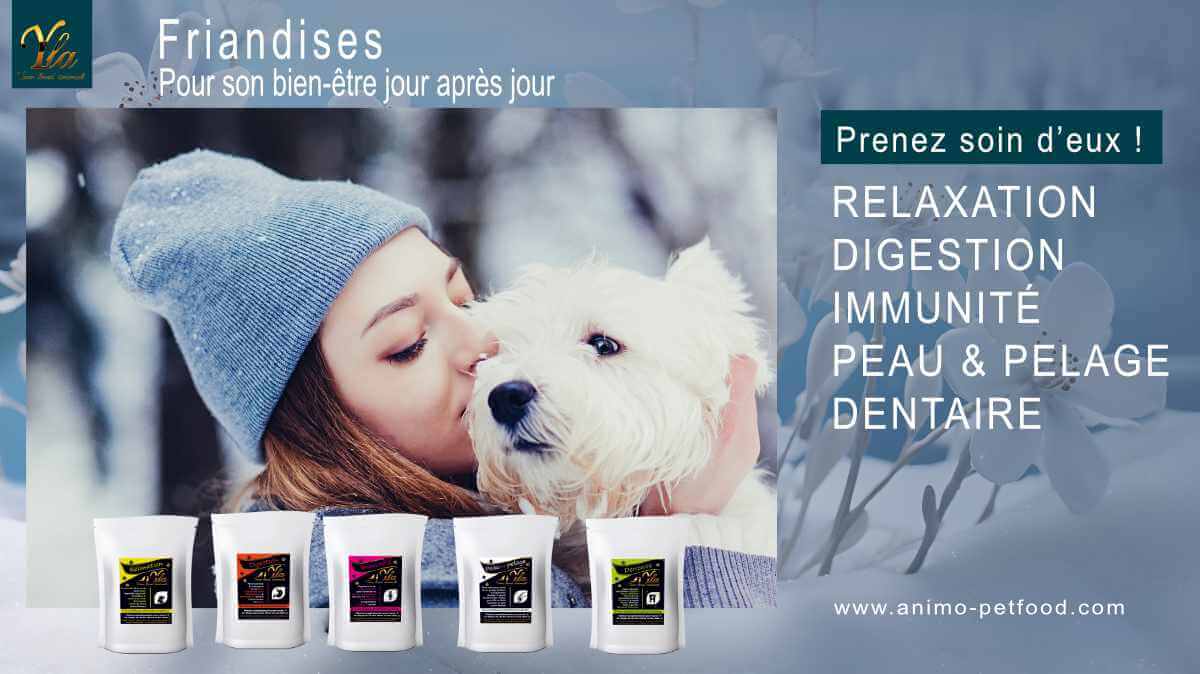 friandises-sans-cereale-ni-gluten-pour-la-sante-de-votre-chien