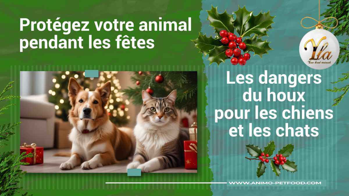 houx-et-animaux-de-compagnie-risques-symptomes-traitement-et-prevention-de-l-empoisonnement