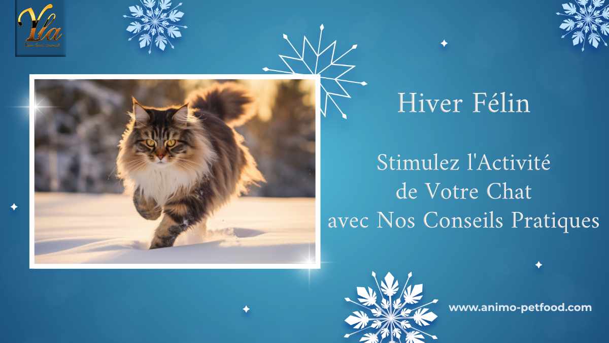 maintenir-l-activite-de-votre-chat-pendant-la-saison-hivernale