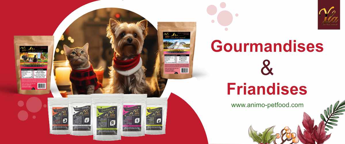 noel-friandises-et-gourmandises-pour-chiens-et-chats