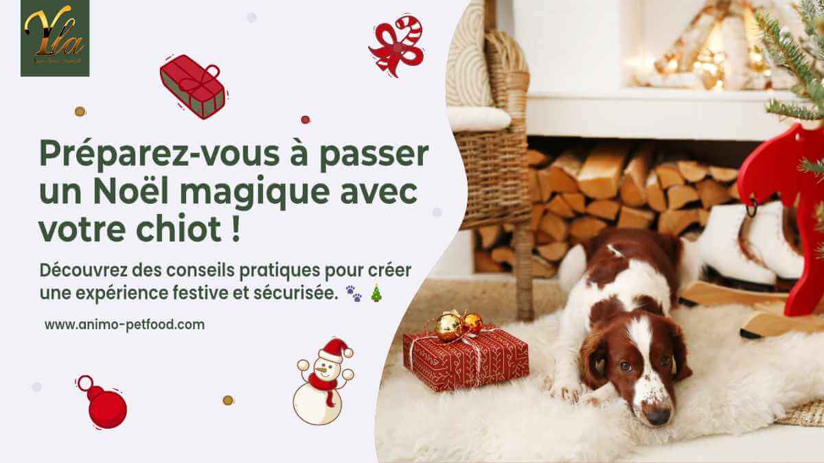 Premier Noël de votre chiot