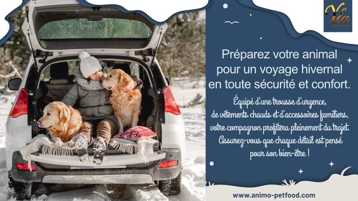preparez-votre-animal-pour-un-voyage-hivernal-en-toute-securite-et-confort