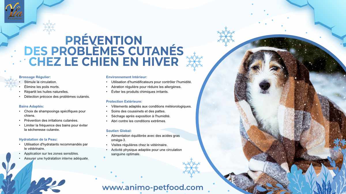 Prévention des Problèmes Cutanés chez le Chien en Hiver. Brossage régulier, bains adaptés, hydratation de la peau, environnement intérieur sain, protection extérieure, soutien global