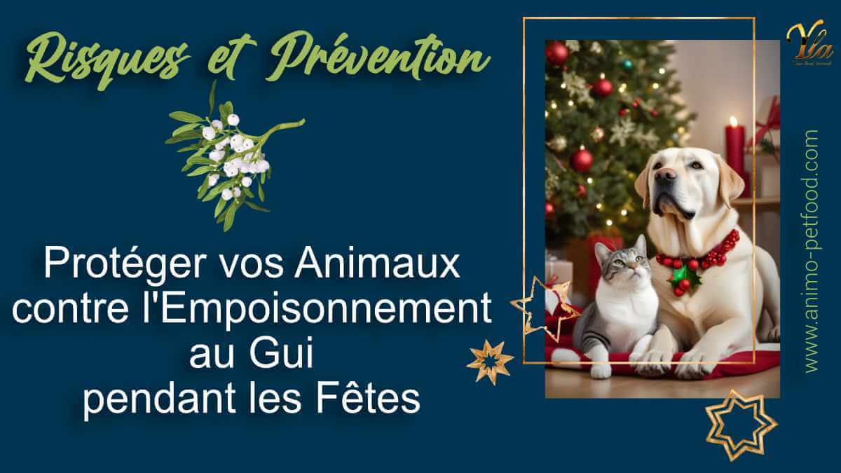 proteger-vos-animaux-contre-l-empoisonnement-au-gui-pendant-les-fetes