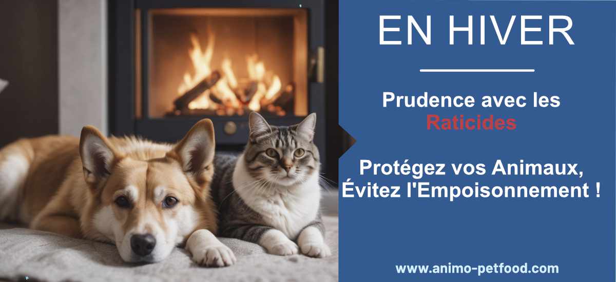 Prudence avec les Raticides : Protégez vos Animaux, Évitez l'Empoisonnement