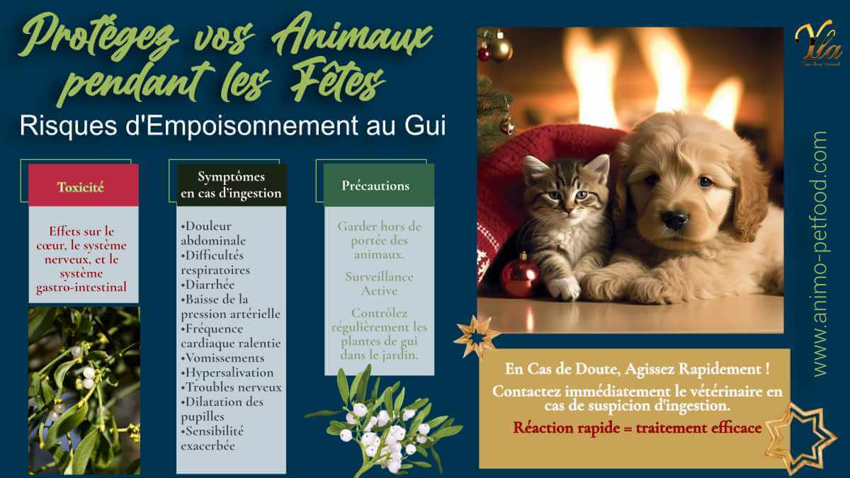 risques-d-empoisonnement-au-gui-chien-chat