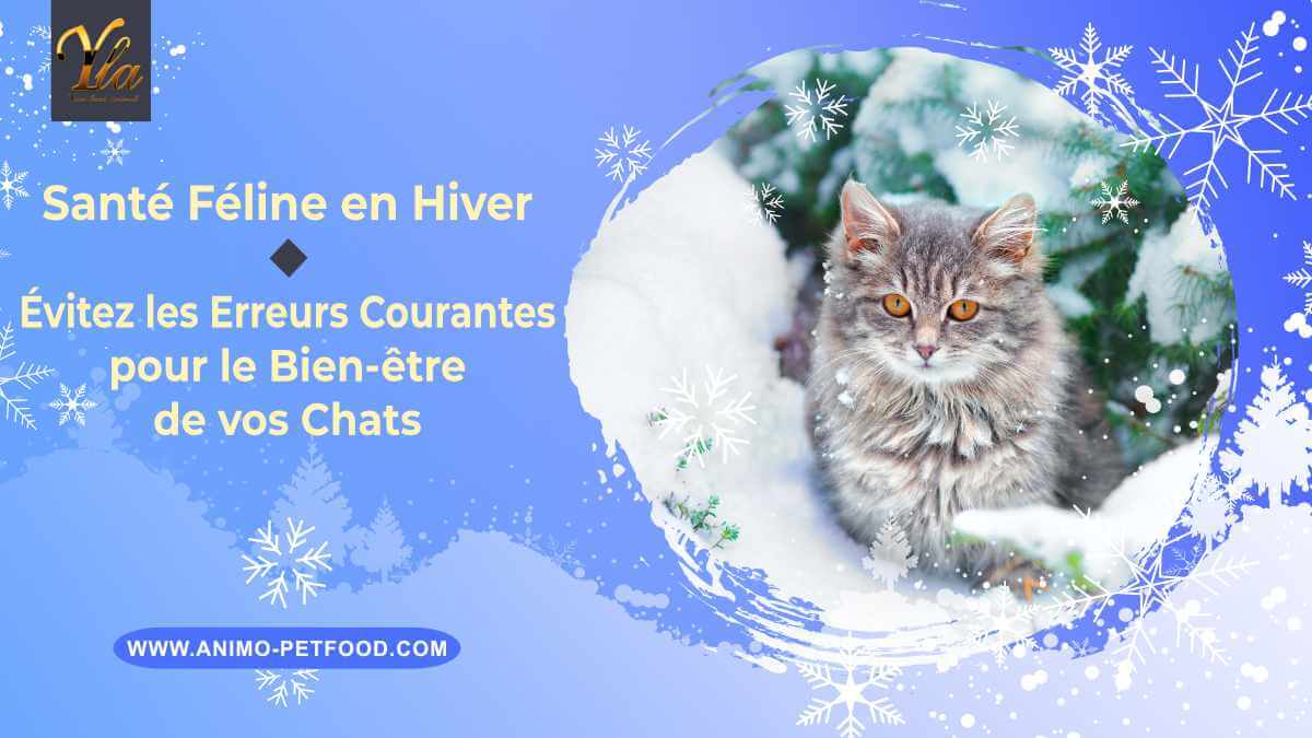 sante-feline-en-hiver-evitez-erreurs-courantes-pour-le-bien-etre-de-vos-chats