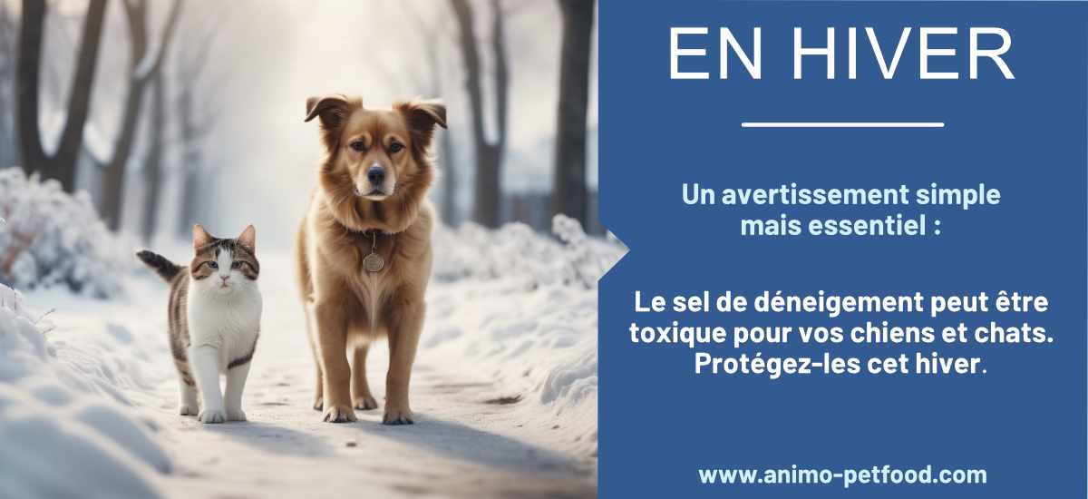 Sel de Déneigement - Produit Toxique pour Chiens et Chats : Avertissement essentiel, protégez vos animaux cet hiver.