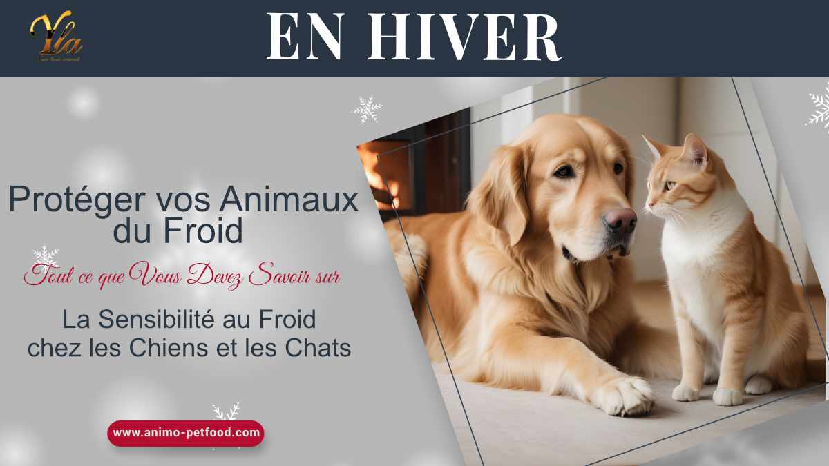 Protéger vos Animaux du Froid : Tout ce que Vous Devez Savoir sur la Sensibilité au Froid chez les Chiens et les Chats