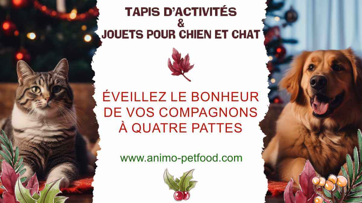 tapis-d-activites-et-jouets-pour-chien-et-chat