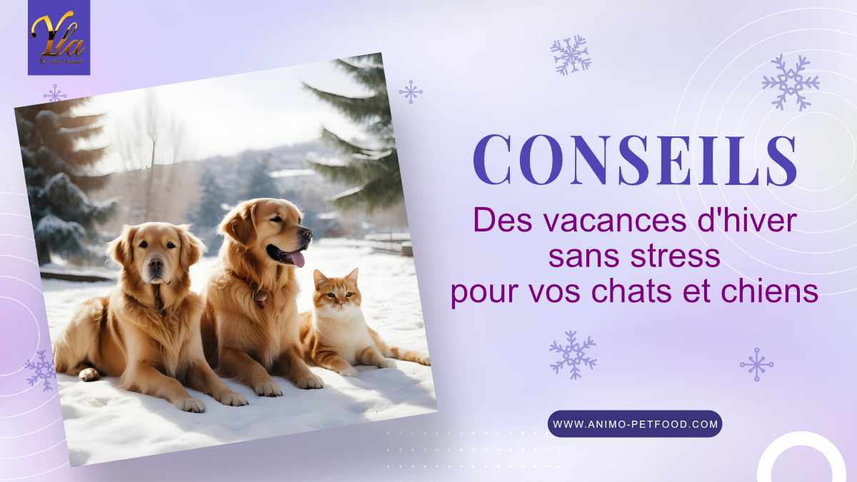 Conseils pour des vacances d'hiver sans stress pour vos animaux de compagnie