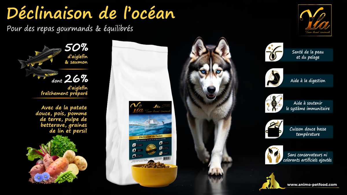 Croquettes premium au saumon et aiglefin, sans céréales, pour chiens ayant des allergies et un pelage abîmé