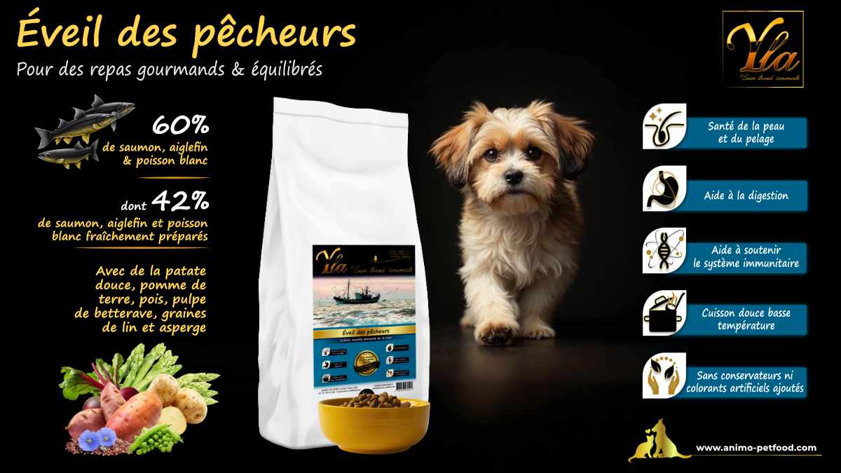 Croquettes pour chiots avec peau sensible et digestion fragile, riches en poisson et sans céréales.