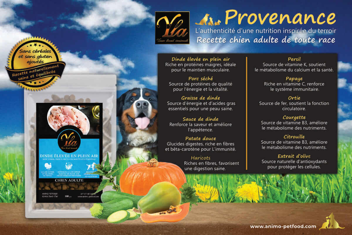 Ingrédients des croquettes pour chien adulte – dinde élevée en plein air, légumes digestes et extrait d’olive