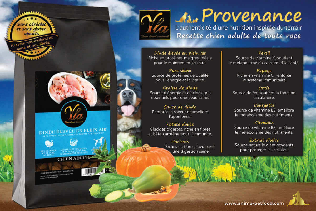 Croquettes sans gluten au dinde et légumes fonctionnels pour la santé digestive et immunitaire du chien