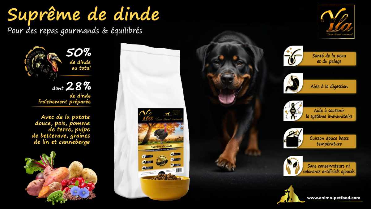 Croquettes naturelles à la dinde, idéales pour chiens de grande taille souffrant de problèmes digestifs.