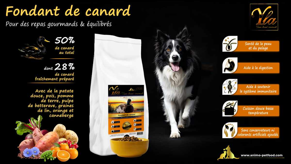 Croquettes naturelles au canard pour chiens allergiques, sans céréales et riches en protéines digestes.