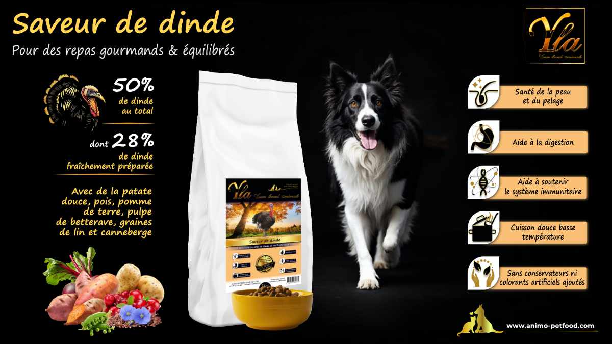 Alimentation pour chien à la dinde, sans céréales, pour une digestion facile et une peau saine