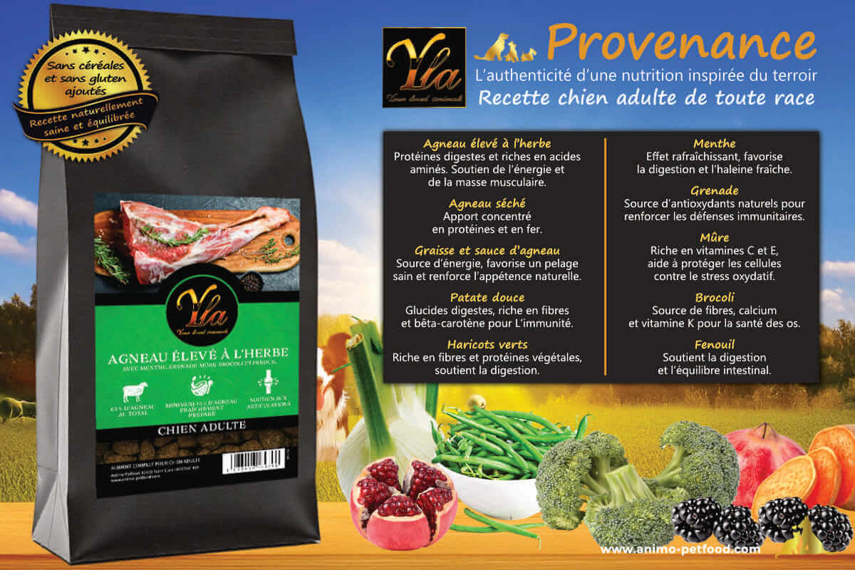 Composition superaliments naturels dans les croquettes à l’agneau sans céréales pour chien adulte