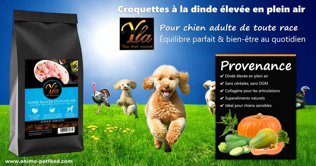 Croquettes sans céréales à la dinde pour chien adulte – YLA Provenance