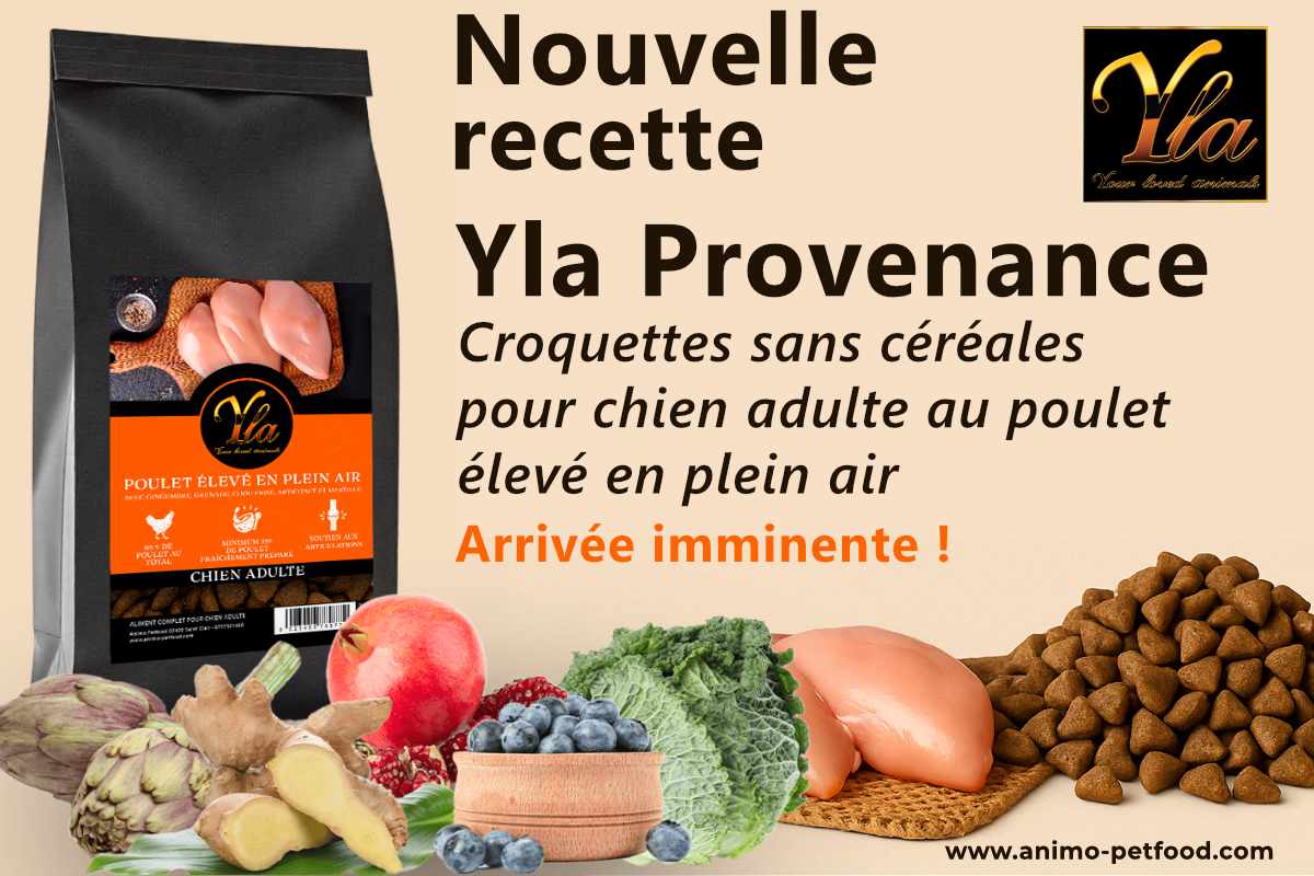 Croquettes sans céréales au poulet élevé en plein air – Yla Provenance