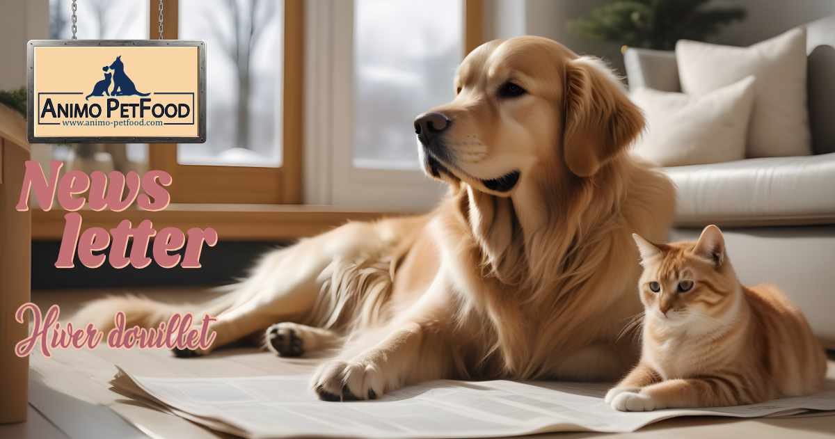 newsletter-hiver-conseils-bien-etre-pour-chiens-et-chats