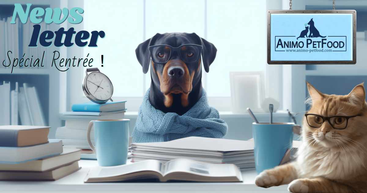 preparer-la-rentree-de-vos-chiens-et-chat