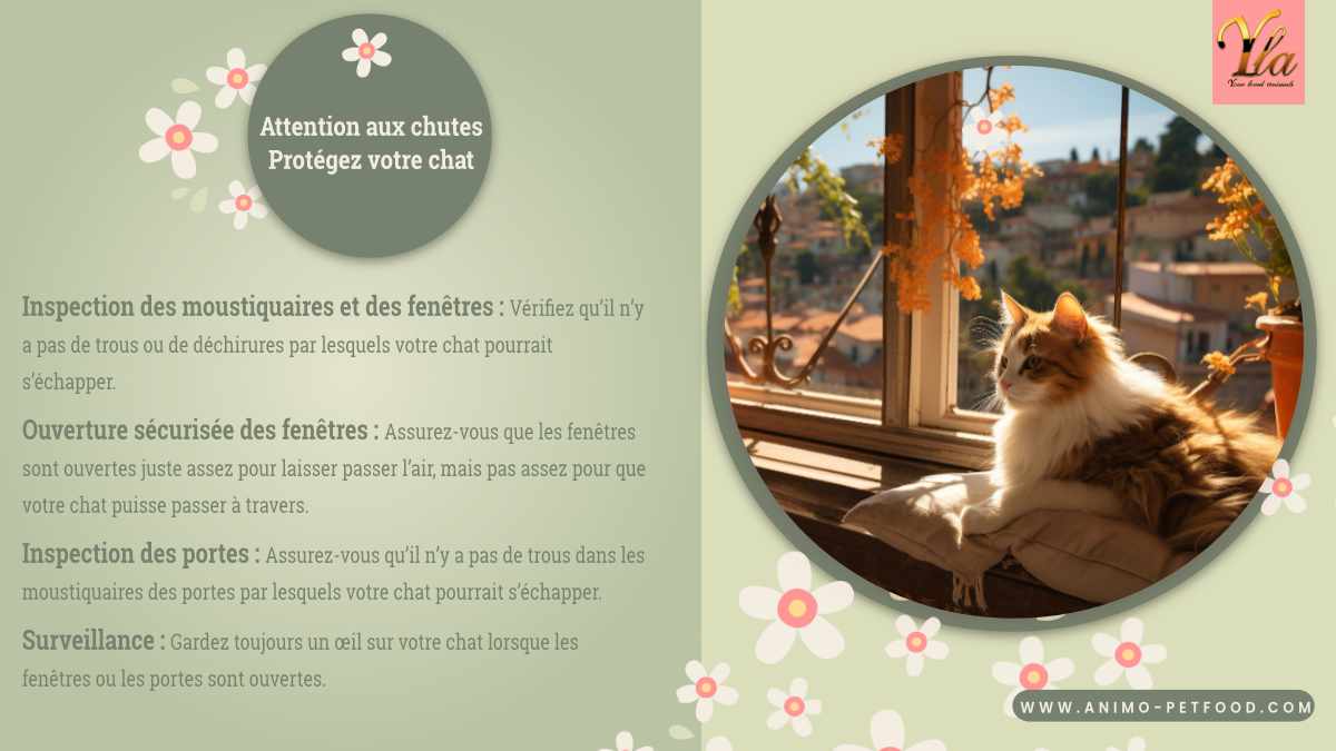 Conseils pour protéger votre chat contre les chutes : Inspection des moustiquaires et des fenêtres, ouverture sécurisée des fenêtres, inspection des portes, surveillance constante