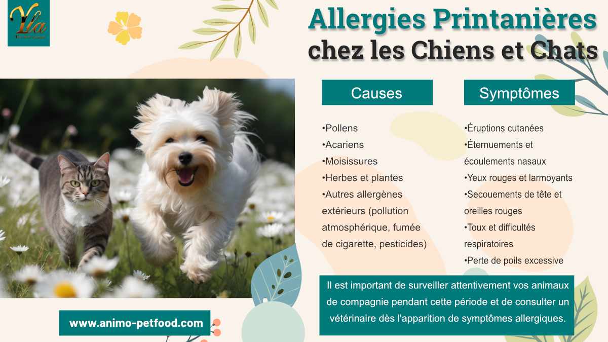 allergies printanières chez les chiens et les chats : causes et symptômes