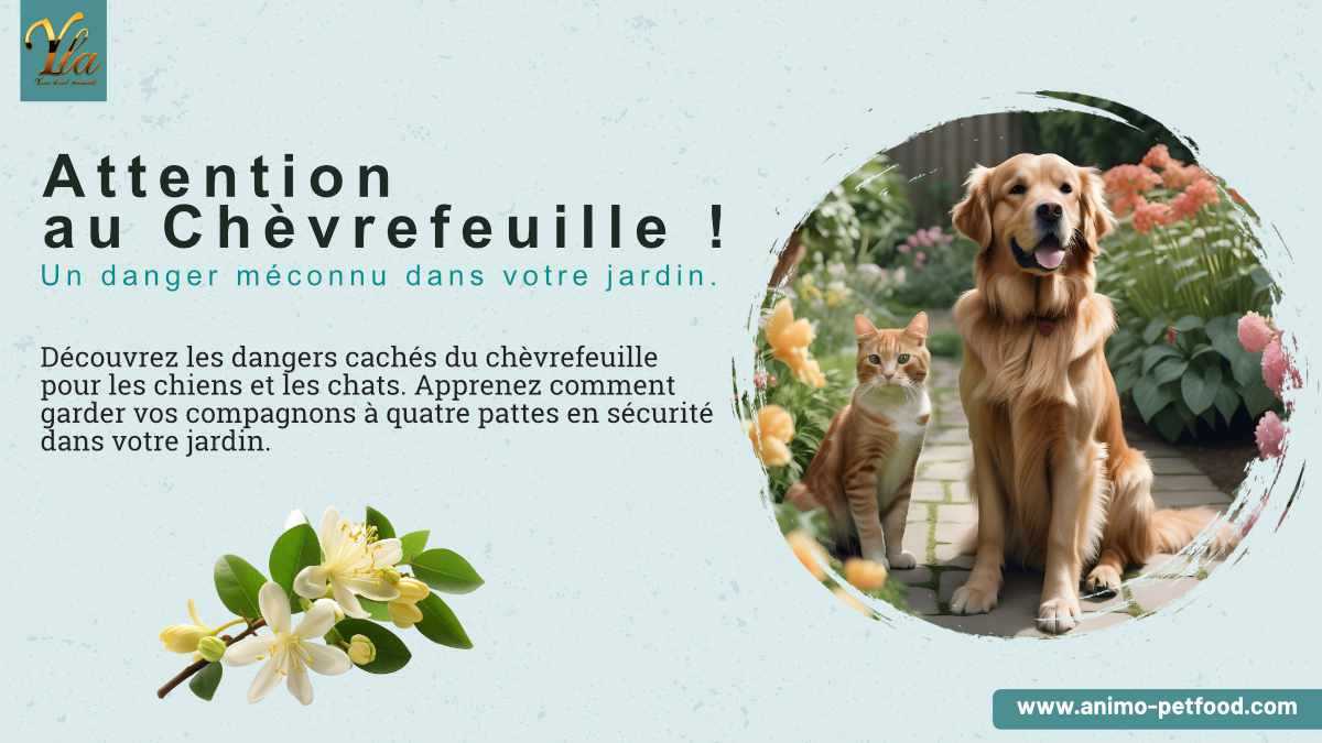 Chien et chat - Attention au Chèvrefeuille ! Un danger méconnu dans votre jardin. Apprenez comment garder vos compagnons à quatre pattes en sécurité avec nos conseils.