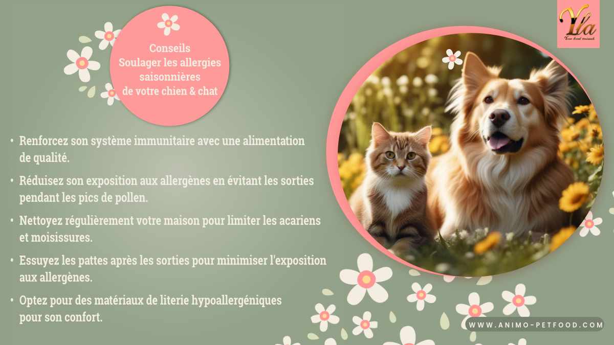 Conseils allergies saisonnières chien chat - Renforcez son immunité alimentation, évitez sorties pollen, nettoyez maison, essuyez pattes, literie hypoallergénique