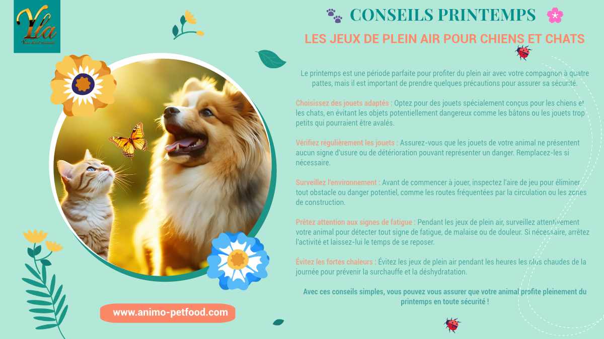 Conseils printemps : Les jeux de plein air pour chiens et chats