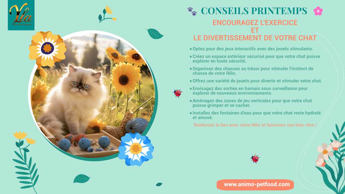 Conseils printemps: Encouragez l'exercice et le divertissement de votre chat