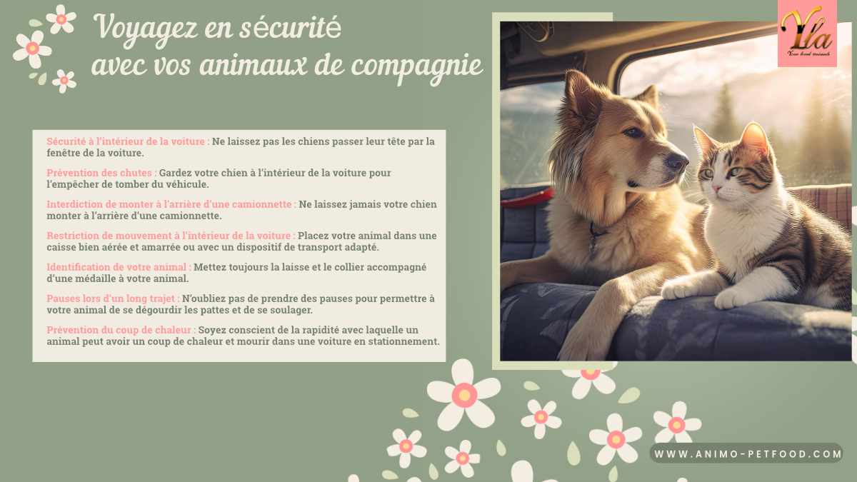 Conseils pour voyager en voiture avec votre chien ou votre chat