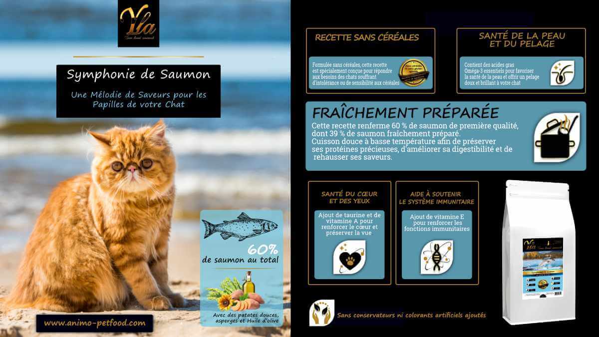 Croquettes pour chat spéciales sensibilité cutanée