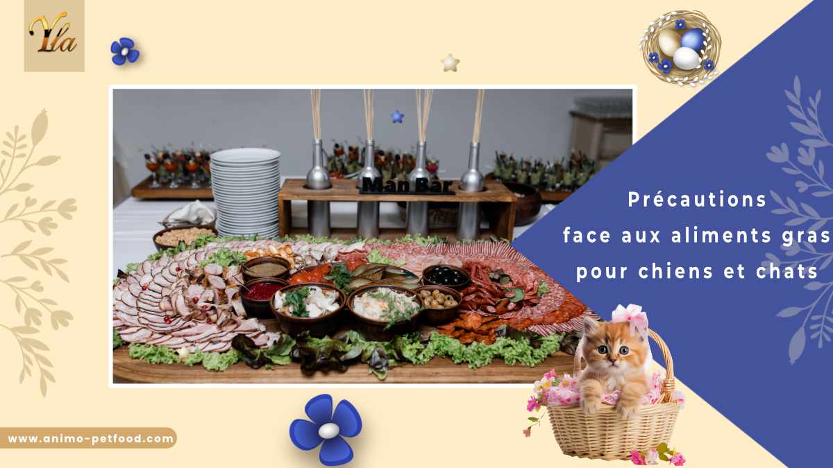 Risques des aliments gras pour les chiens et les chats : symptômes et précautions