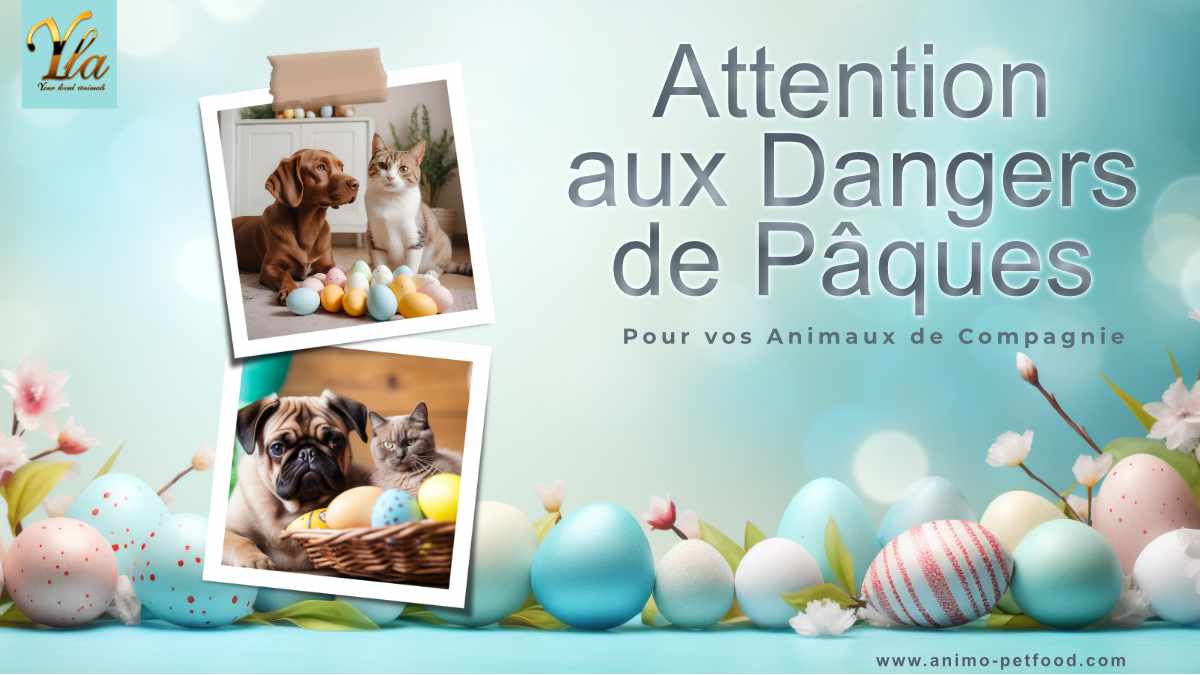 Attention aux Dangers de Pâques pour vos Animaux de Compagnie