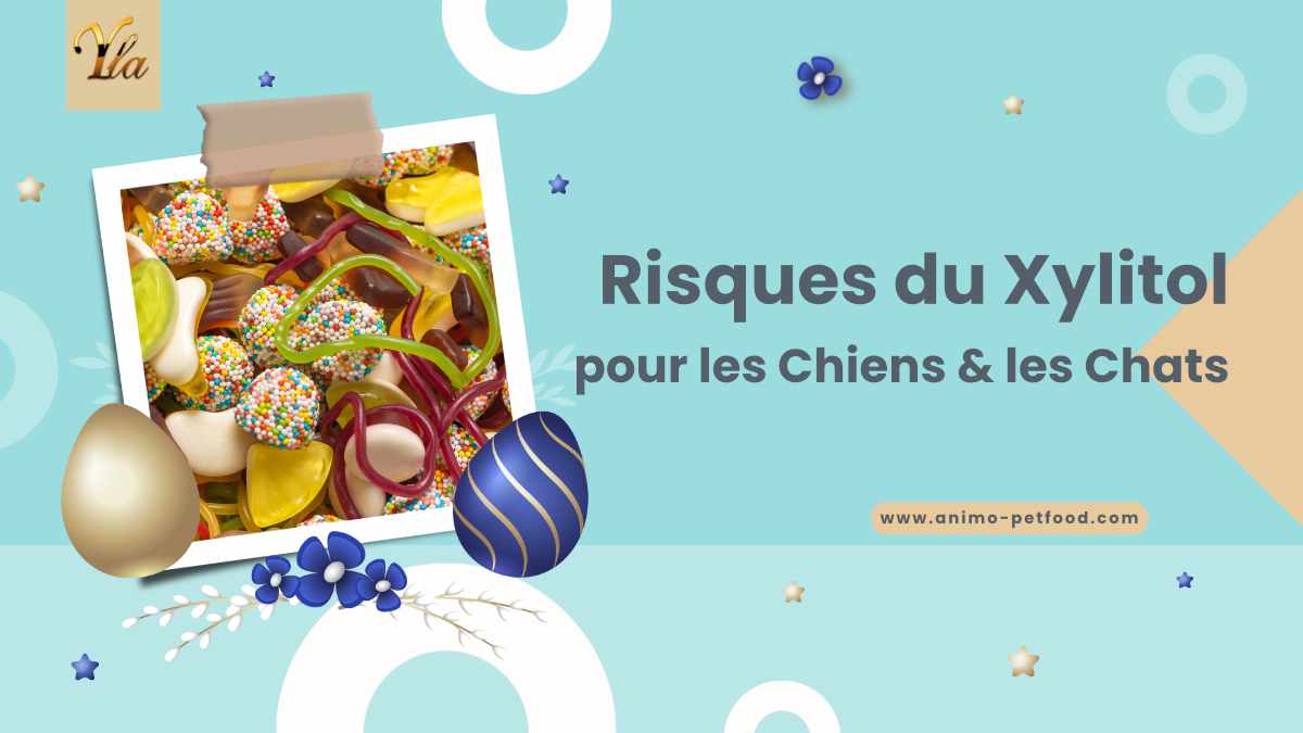 Risques du Xylitol pour les Chiens et les Chats
