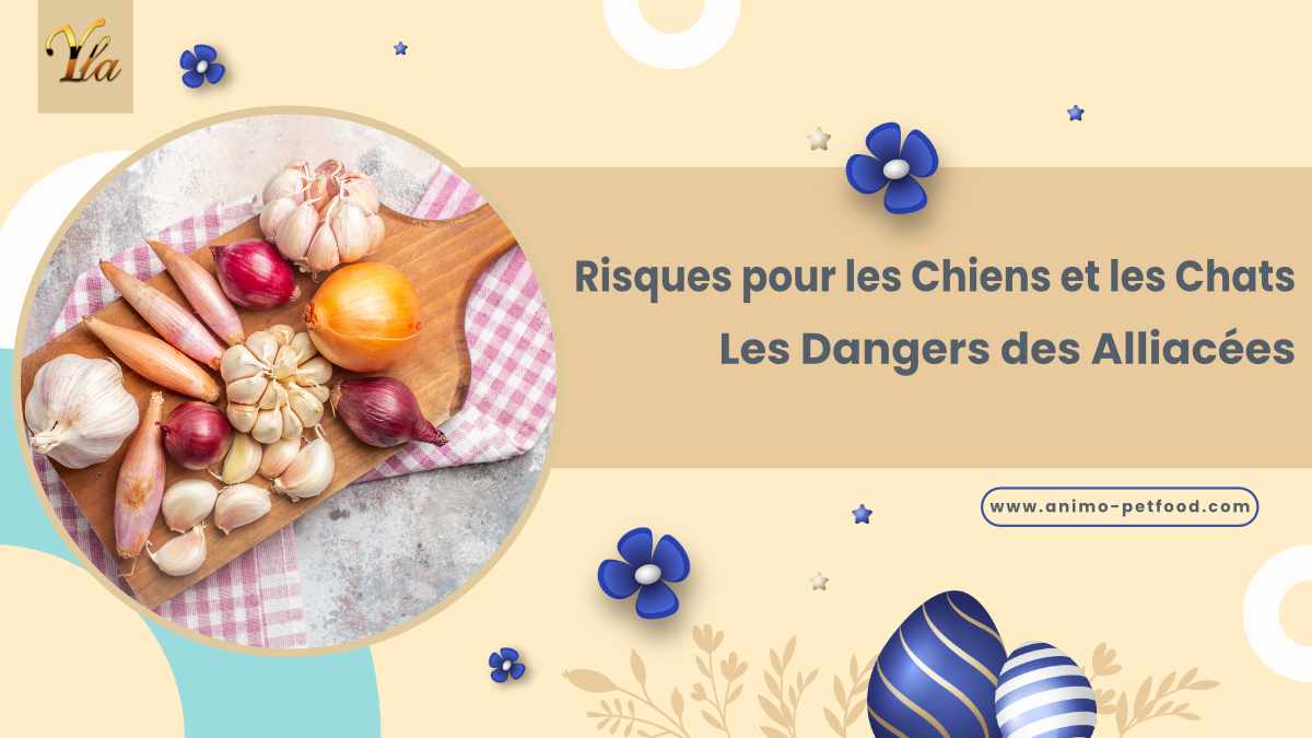 Chiens et chats - Attention aux dangers des oignons, de l'ail, de la ciboulette et des poireaux