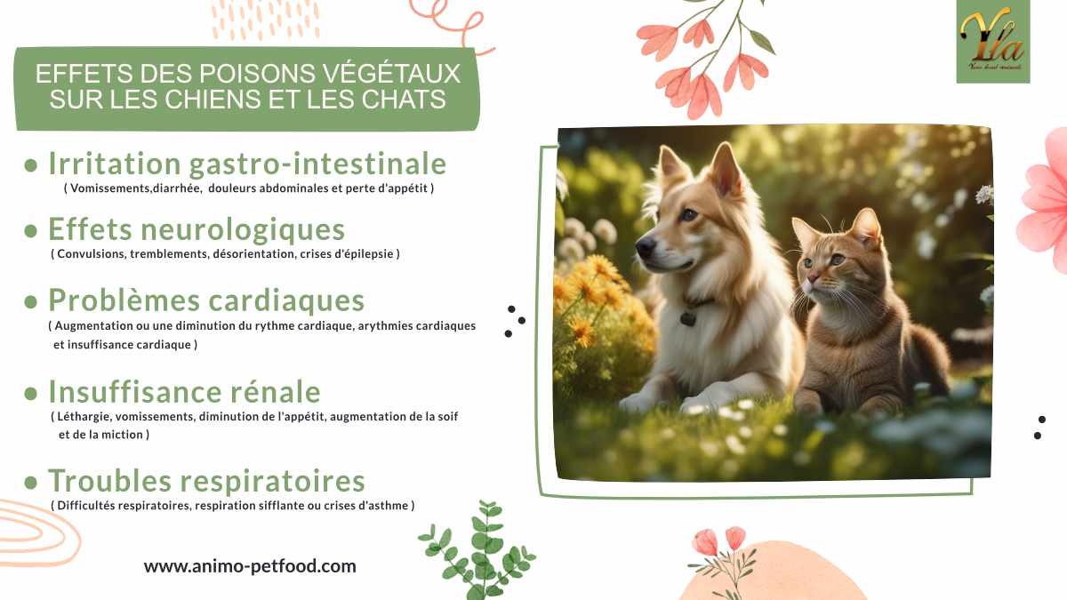  Effets des poisons végétaux sur les chiens et les chats : irritations gastro-intestinales, neurologiques, cardiaques, rénales et respiratoires