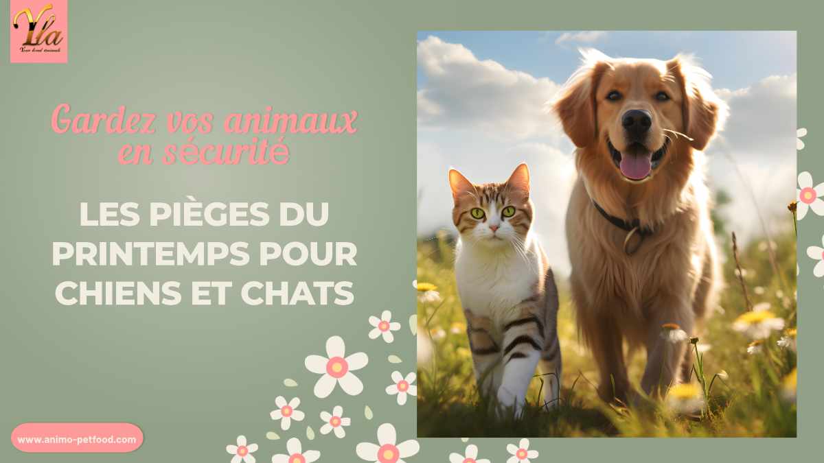 Gardez vos animaux en sécurité : Les pièges du printemps pour chiens et chats