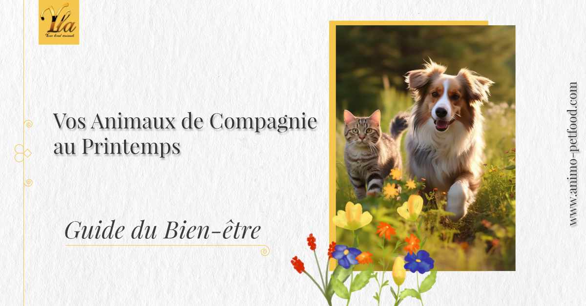 Guide du Bien-être pour Chiens et Chats au Printemps