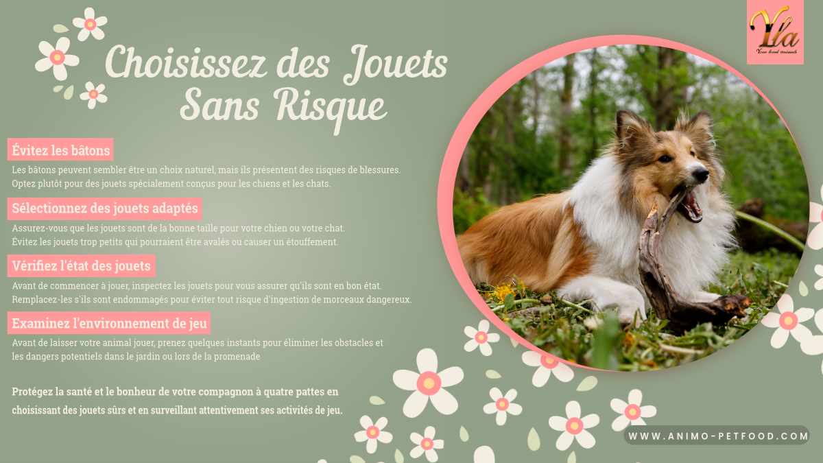 Choisissez des Jouets Sans Risque - Évitez les bâtons: Les bâtons peuvent sembler être un choix naturel, mais ils présentent des risques de blessures. Optez plutôt pour des jouets spécialement conçus pour les chiens et les chats.