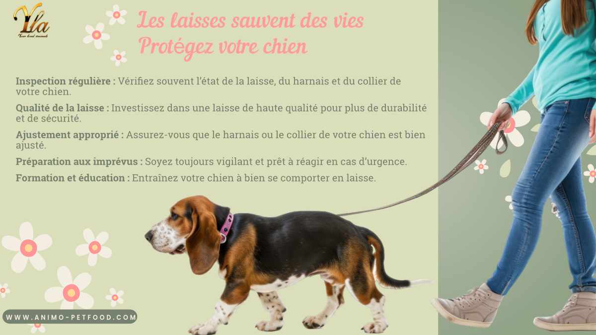 Conseils pour la sécurité des chiens : Inspection régulière de la laisse, qualité de la laisse, ajustement approprié du harnais ou du collier, préparation aux imprévus, formation et éducation du chien